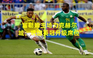 富勒姆主场力克赫尔城，巩固英冠升级席位