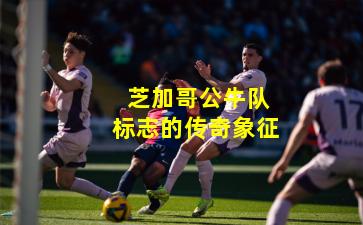  芝加哥公牛队标志的传奇象征